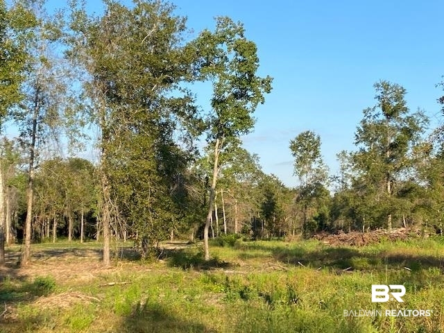 16108 Old Pierce Road Fairhope, AL 36532 - Photo 9 of 14
