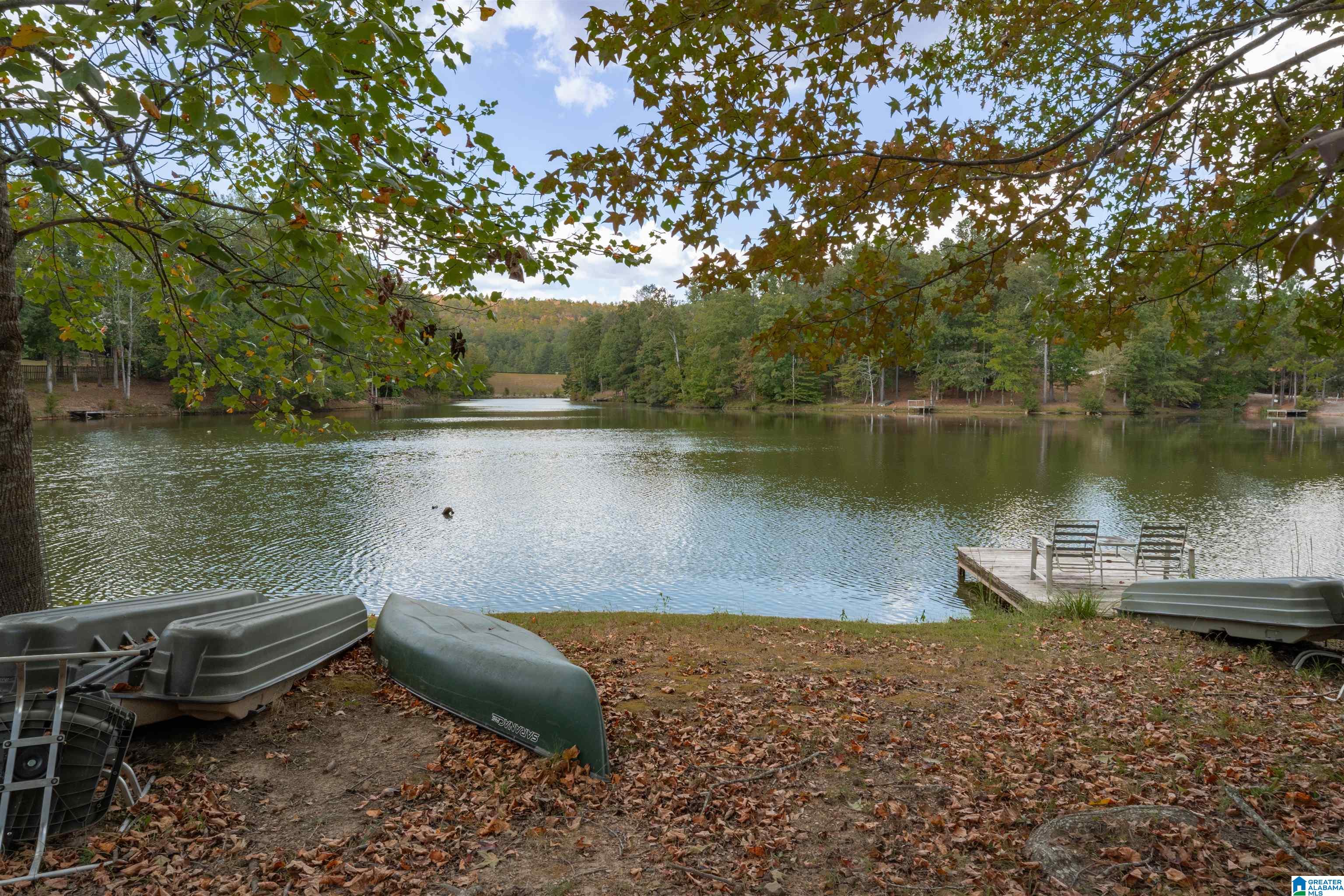 113 Deer Ridge Drive Chelsea, AL 35043 - Photo 1 of 58
