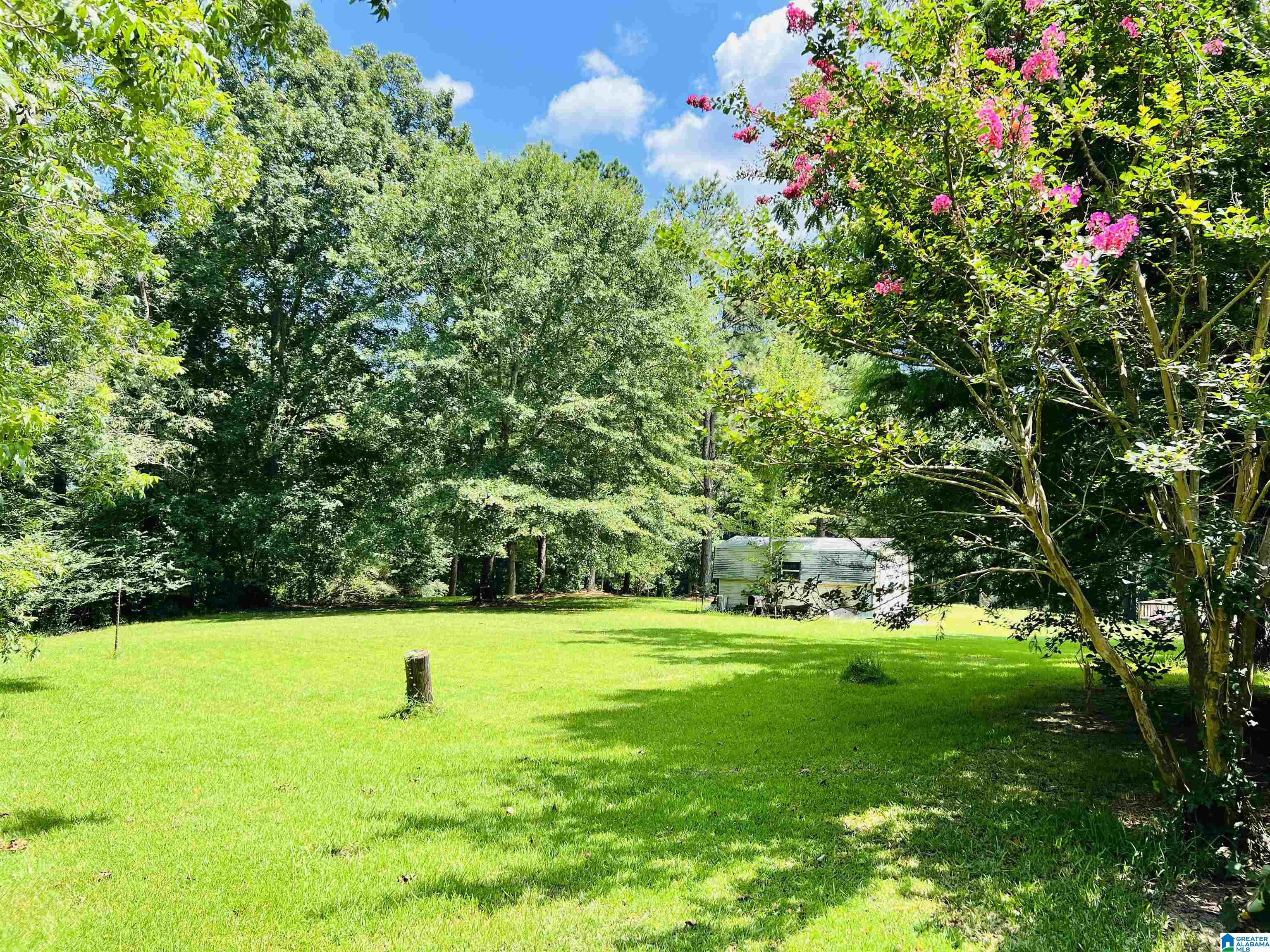 7123 Cumby Greer Road Quinton, AL 35130 - Photo 23 of 40