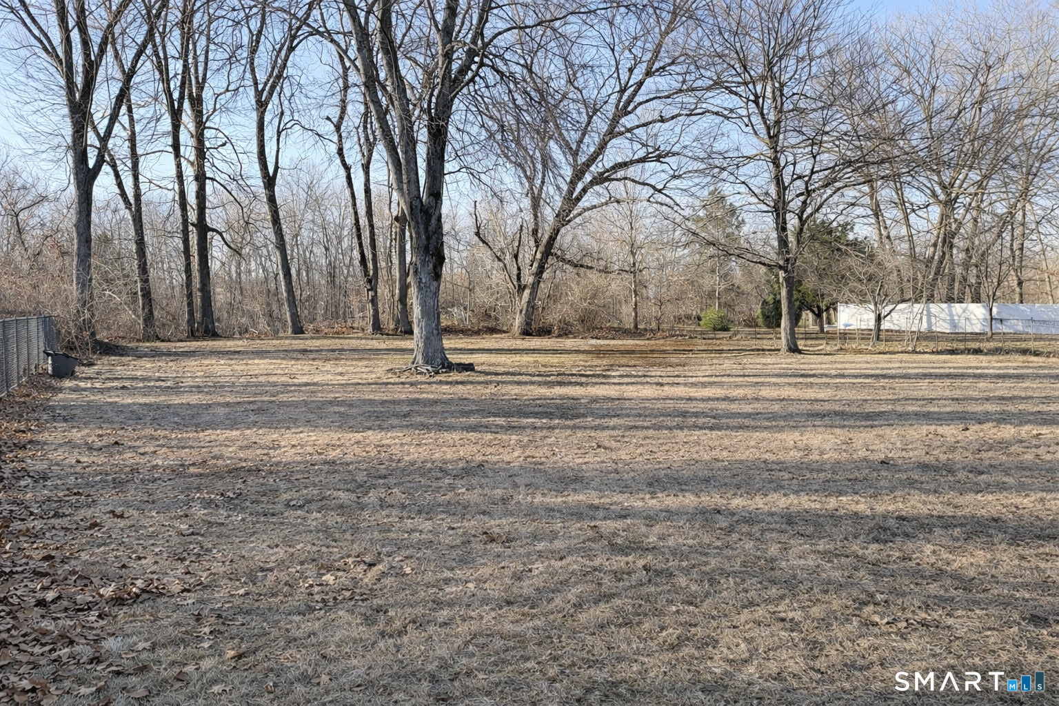 5 Edmund Lane Enfield, CT 06082 - Photo 11 of 11 a view of a yard with large trees