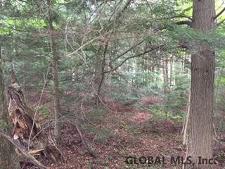 Maybie Road Gilboa, NY 12076 - Photo 3 of 9 Photo 3