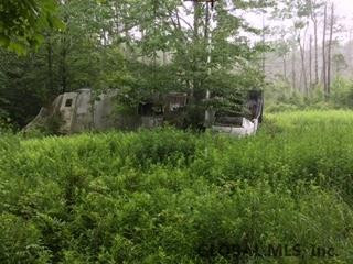 Maybie Road Gilboa, NY 12076 - Photo 5 of 9 Photo 5