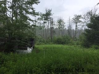 Maybie Road Gilboa, NY 12076 - Photo 6 of 9 Photo 6