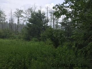 Maybie Road Gilboa, NY 12076 - Photo 7 of 9 Photo 7