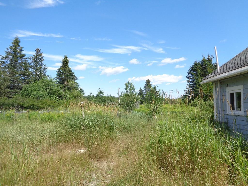 296 Centerville Road Columbia Falls, ME 04623 - Photo 5 of 13 Easterly view