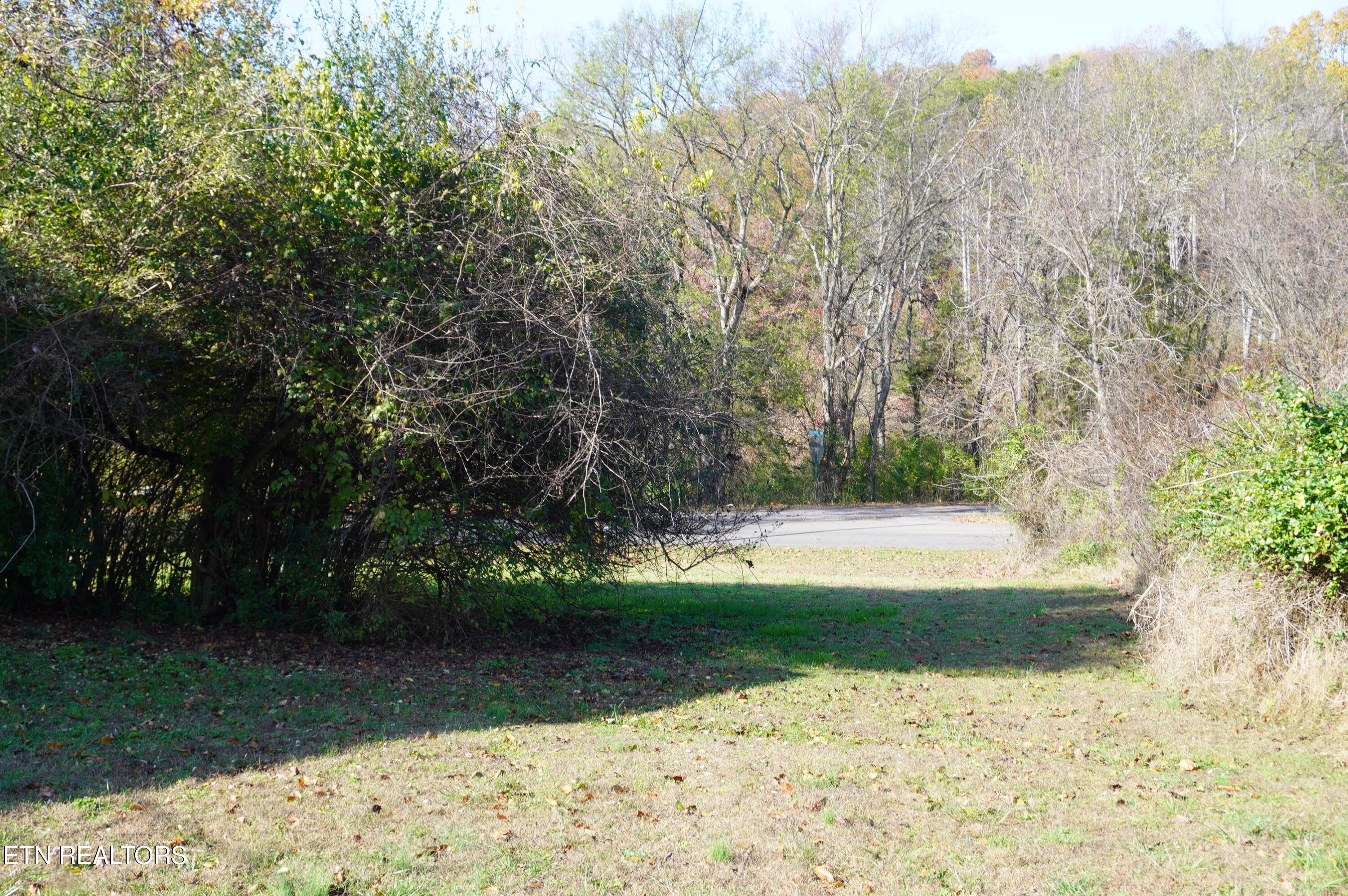 2208 Lynx Road New Market, TN 37820 - Photo 8 of 35 updated lynx (7)