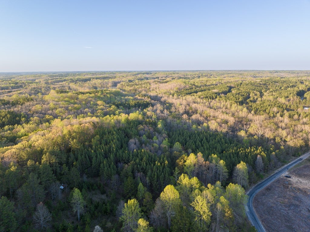 Miller Lake Rd Green Green Bay, VA 23942 - Photo 4 of 9 Gallery Image 4