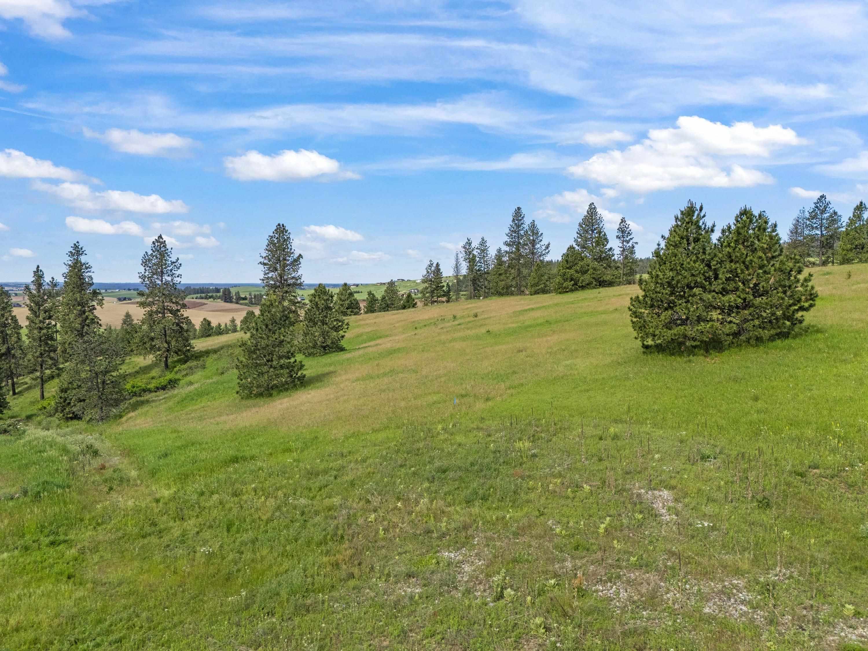 9630 South Sands Road Valleyford, WA 99036 - Photo 22 of 32