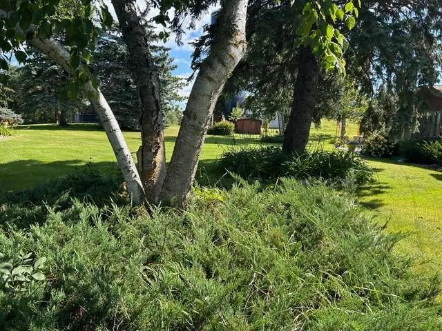 $399,000 | 919 North Main Street, Starbuck, MN 56381