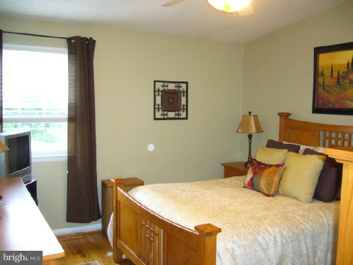 403 Beaver Road Southampton, PA 18966 - Photo 9 of 24 Master Bedroom