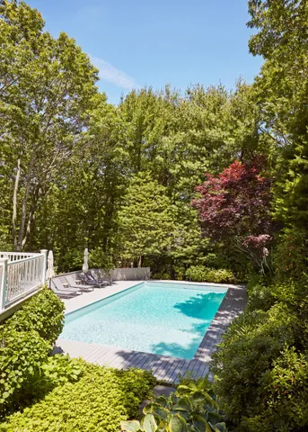 a view of a park with large trees