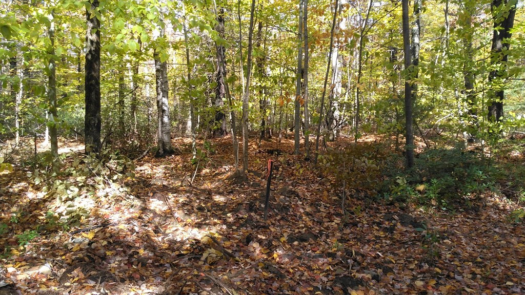 335 Hartland Road Tolland, MA 01034 - Photo 4 of 11 Gallery Image 4