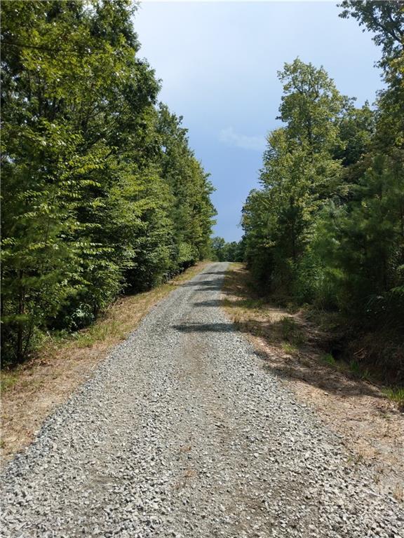 0 Emma Bri Lane, Unit F8 Penrose, NC 28766 - Photo 2 of 6 a view of a yard with plants and trees
