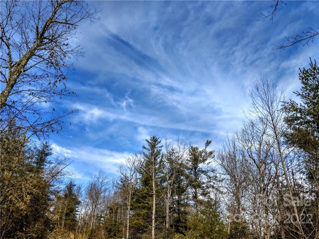 0 Emma Bri Lane, Unit F8 Penrose, NC 28766 - Photo 5 of 6 a view of a yard