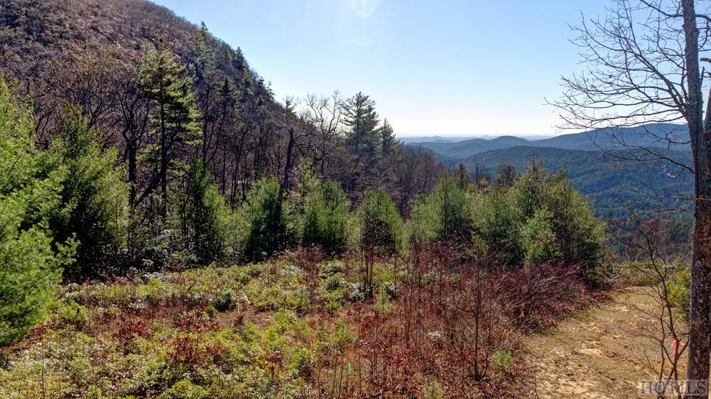 9 Blue Valley Road Highlands, NC 28741 - Photo 19 of 19 Gallery Image 19