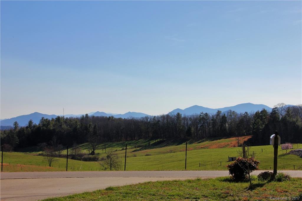 455 Flint Hill Road Alexander, NC 28701 - Photo 3 of 21 Gallery Image 3