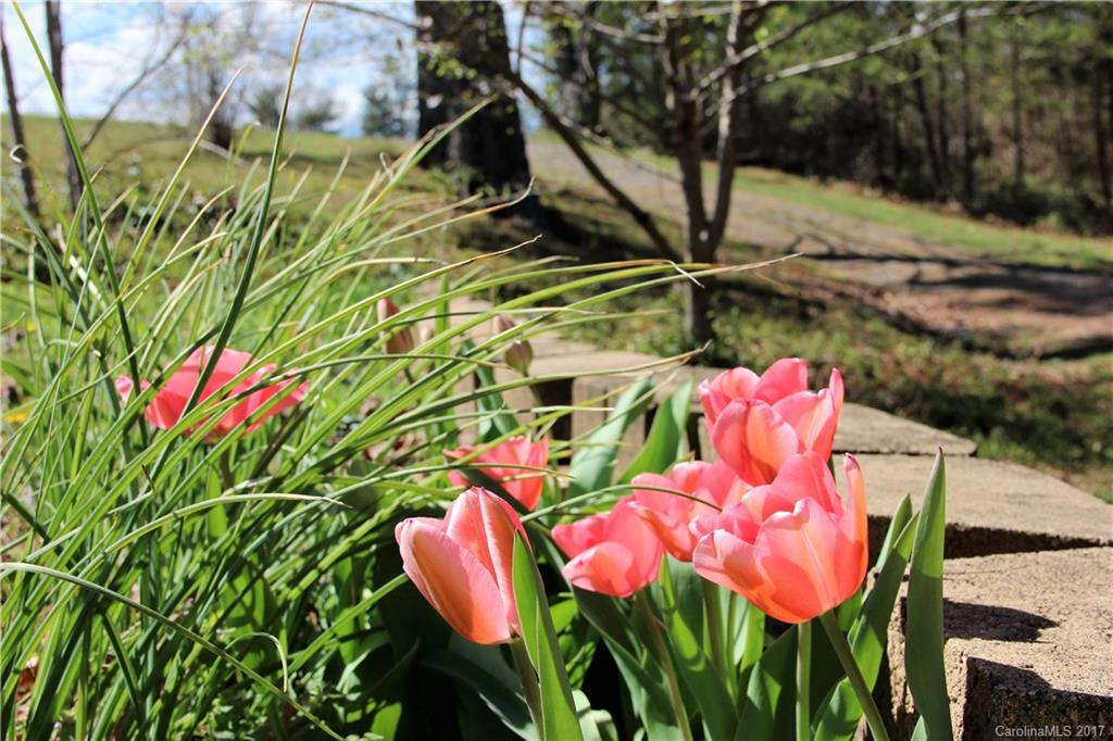 455 Flint Hill Road Alexander, NC 28701 - Photo 21 of 21 Gallery Image 21