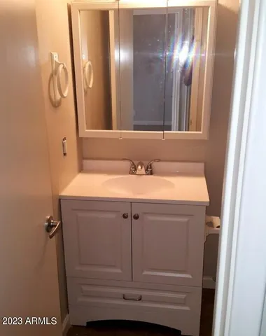 a bathroom with a sink and a mirror