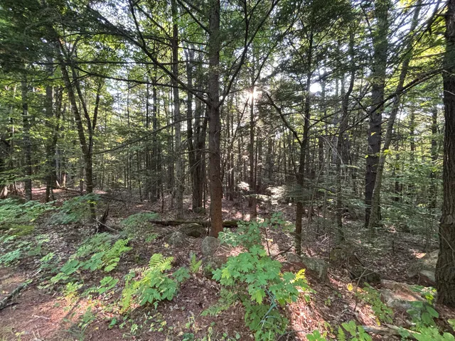 $45,000 | Tbd Watson Pond Road, Rome, ME 04963