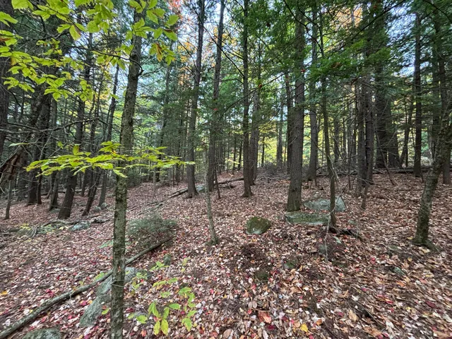 $45,000 | Tbd Watson Pond Road, Rome, ME 04963