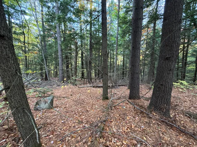 $45,000 | Tbd Watson Pond Road, Rome, ME 04963