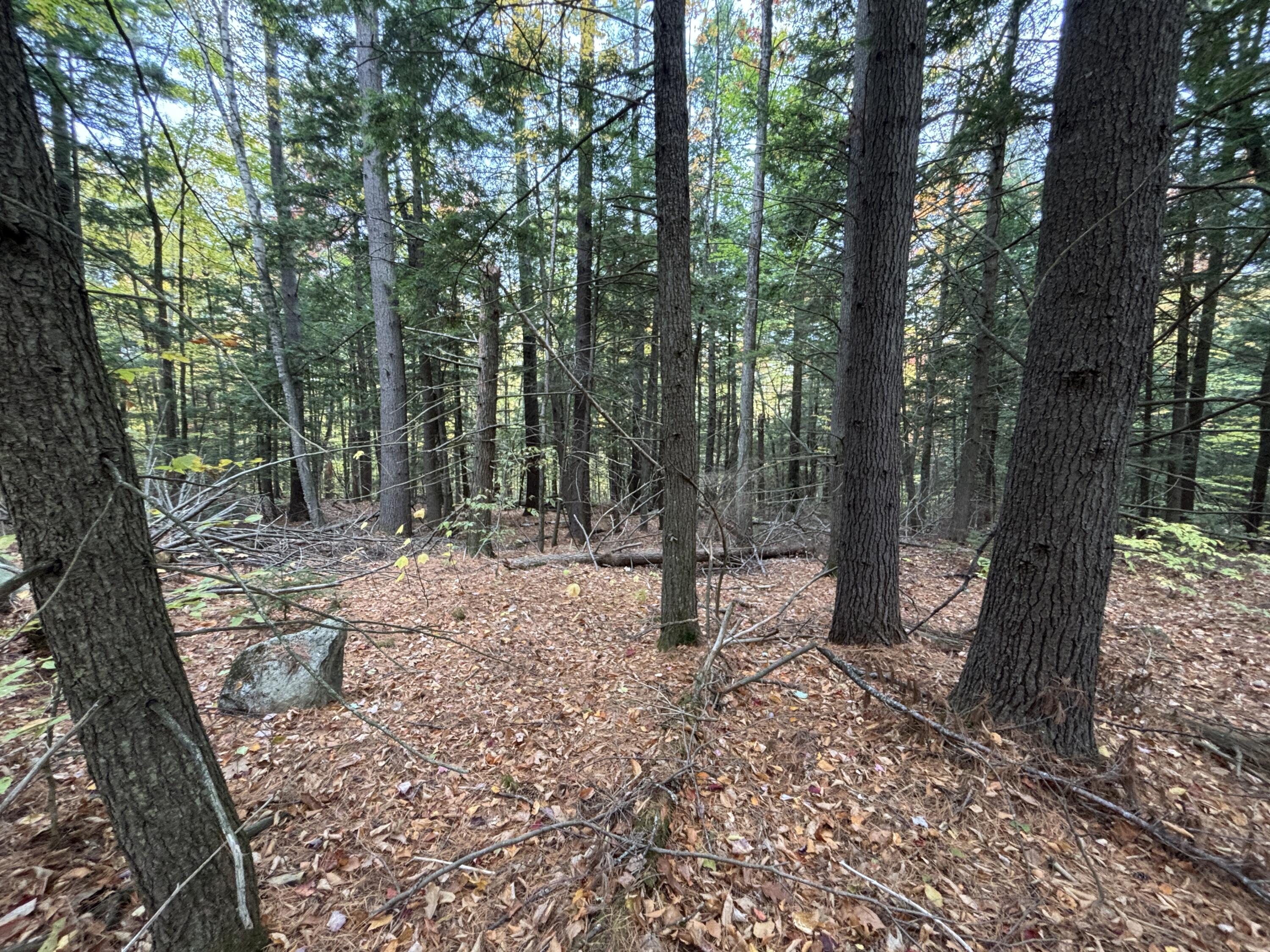 Tbd Watson Pond Road Rome, ME 04963 - Photo 19 of 33 IMG_2920