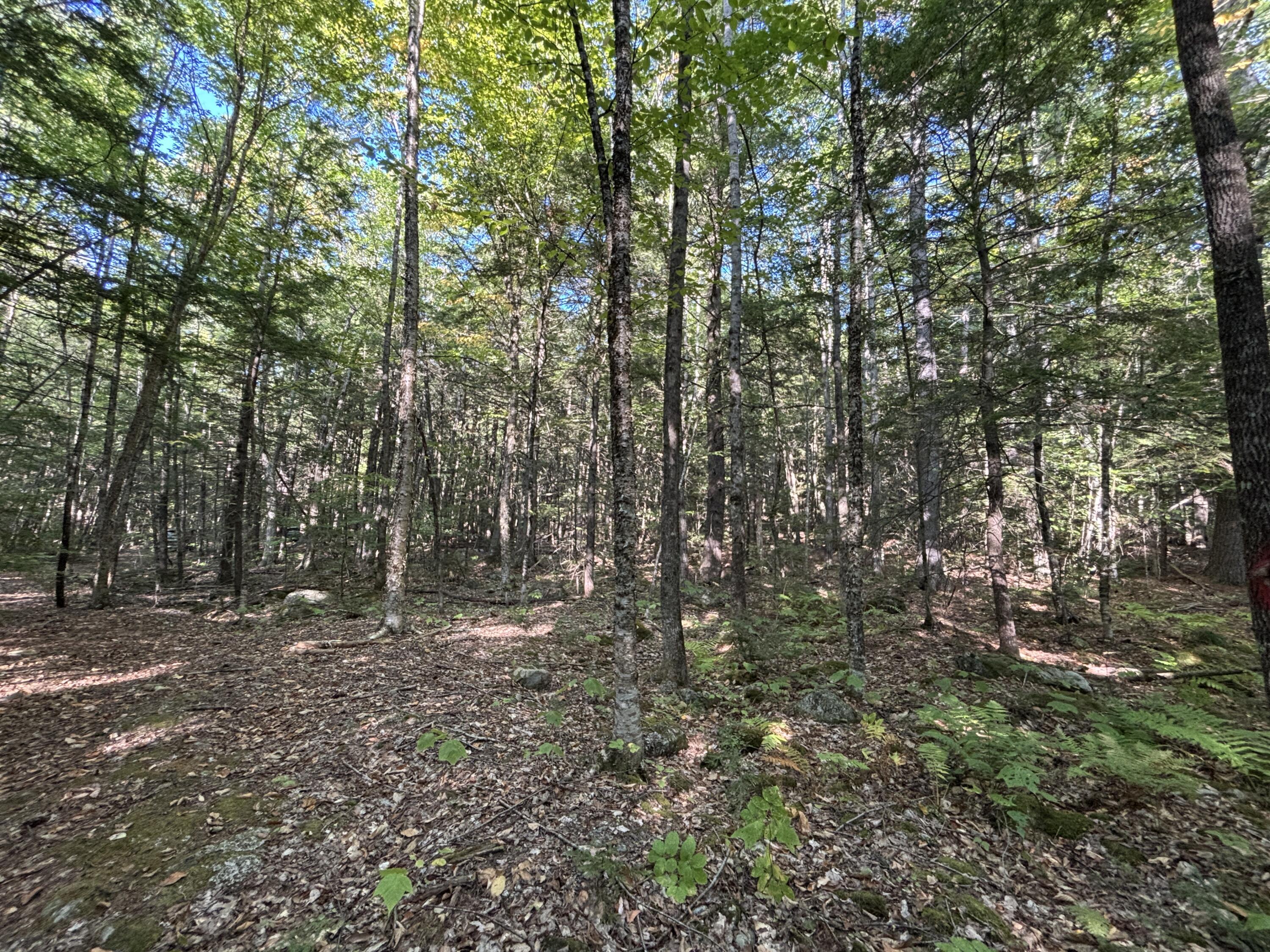 Tbd Watson Pond Road Rome, ME 04963 - Photo 20 of 33 IMG_2531