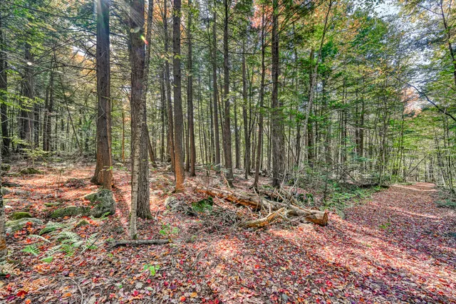 $45,000 | Tbd Watson Pond Road, Rome, ME 04963