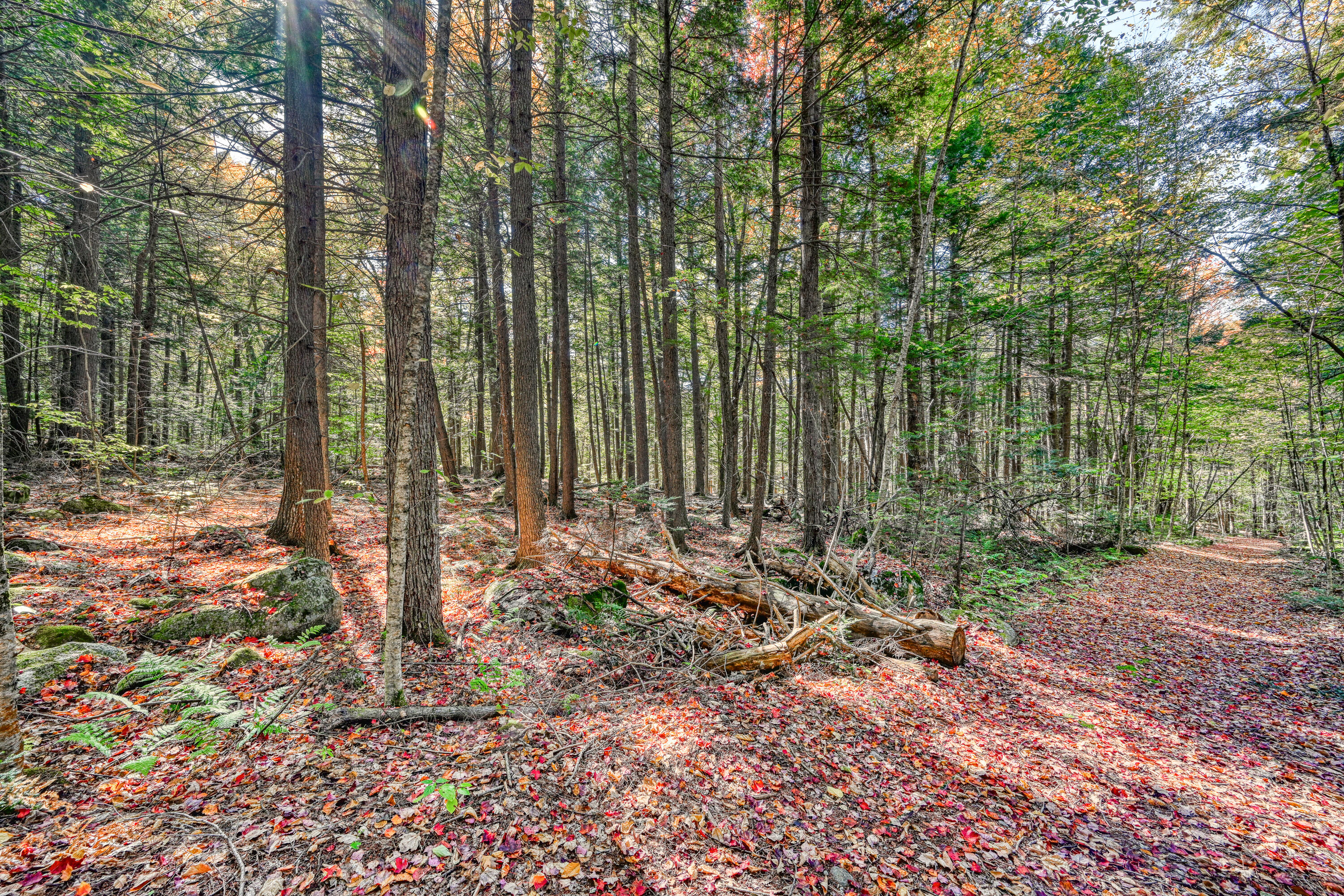 Tbd Watson Pond Road Rome, ME 04963 - Photo 22 of 33 110271gr-108