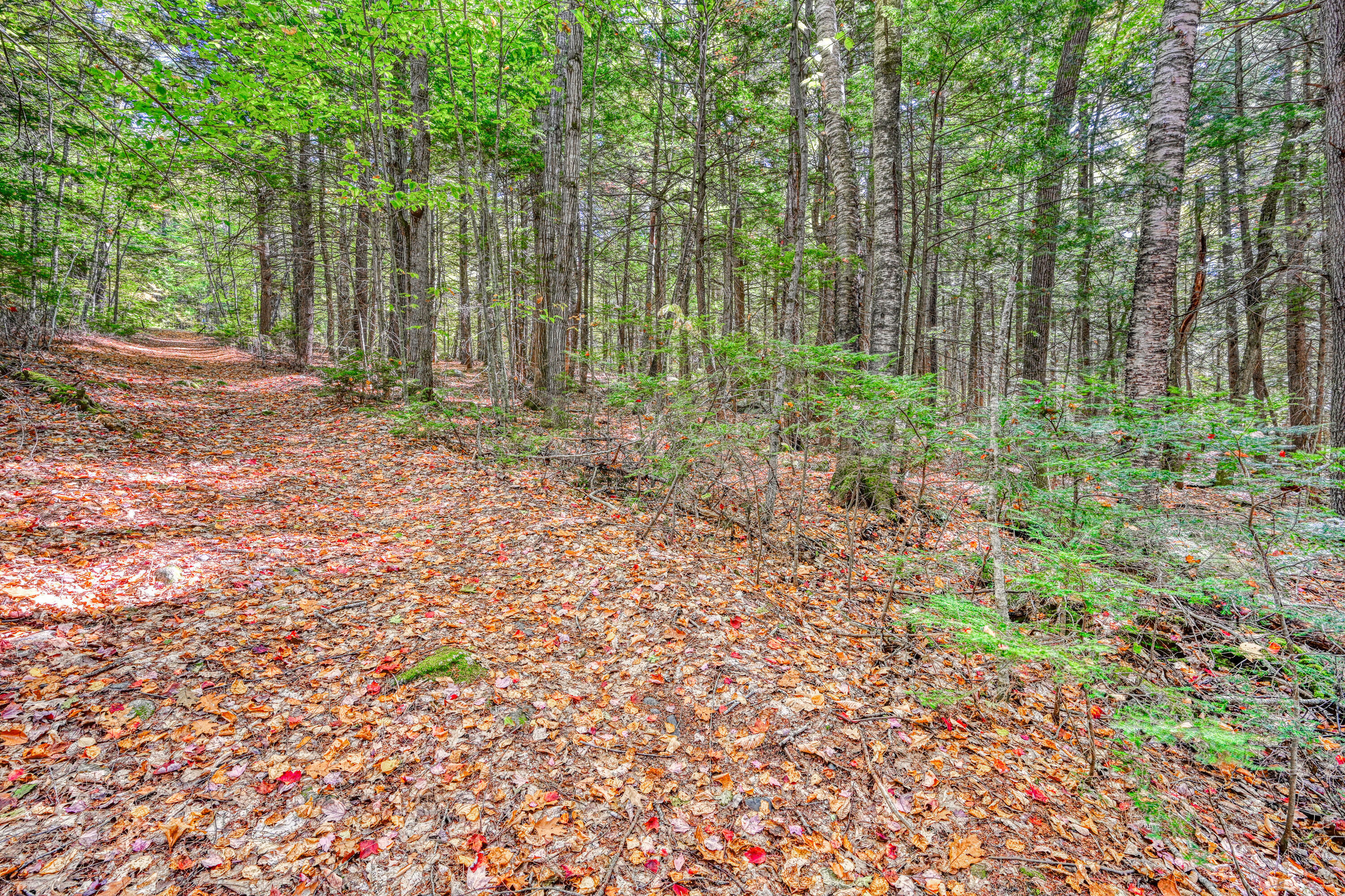 Tbd Watson Pond Road Rome, ME 04963 - Photo 23 of 33 110271gr-109
