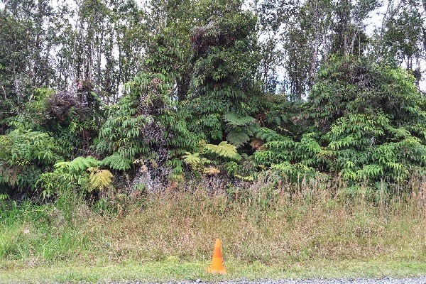 7 Kaleponi Road Mountain View, HI 96771 - Photo 4 of 15 a view of a yard with plants and large tree