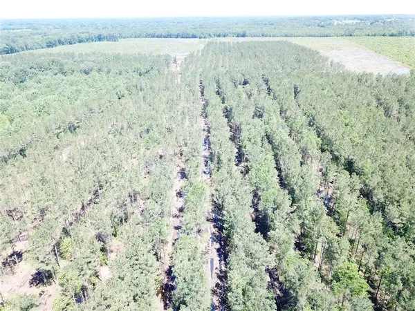 a view of a field with an ocean view