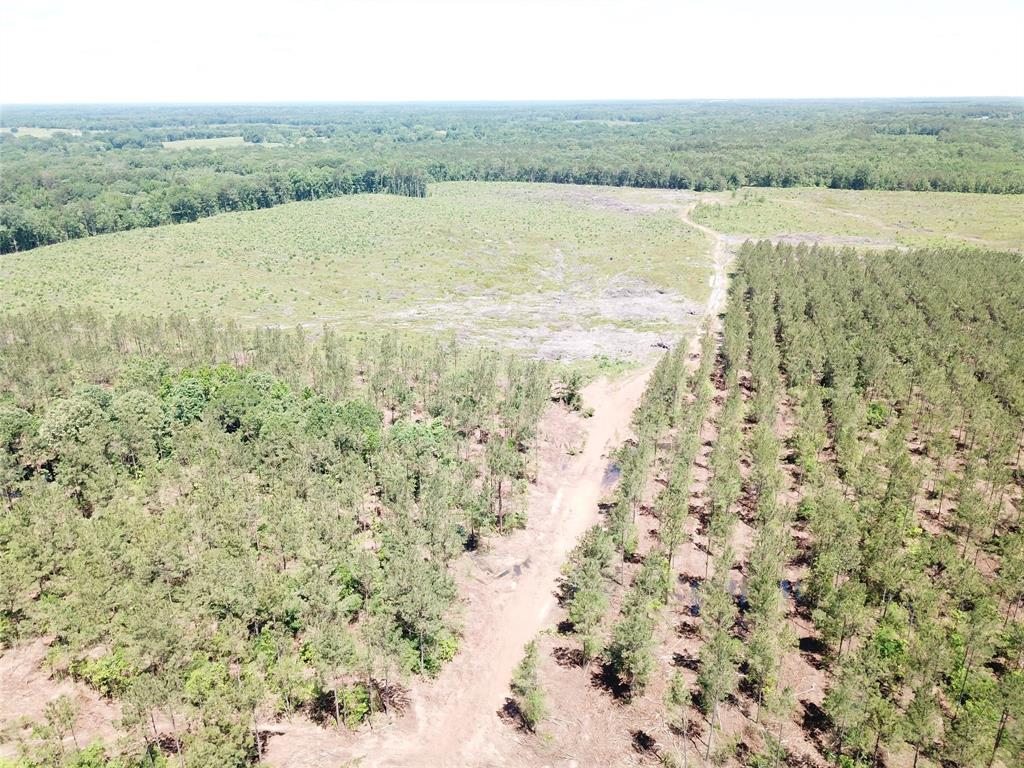 4290 Simms Tx 75574 Simms, TX 75574 - Photo 13 of 24