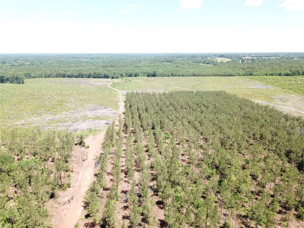 4290 Simms Tx 75574 Simms, TX 75574 - Photo 15 of 24 a view of an ocean beach