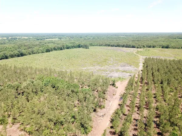 a view of an ocean and beach
