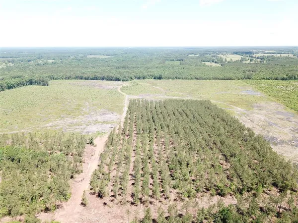 a view of an ocean beach and mountain