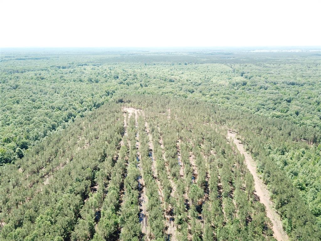 4290 Simms Tx 75574 Simms, TX 75574 - Photo 18 of 24