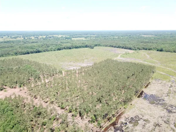 a view of an ocean beach and mountain