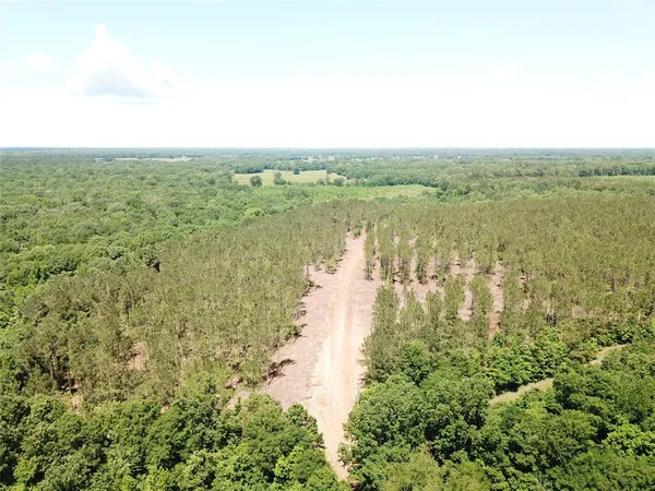 a view of lake with green space