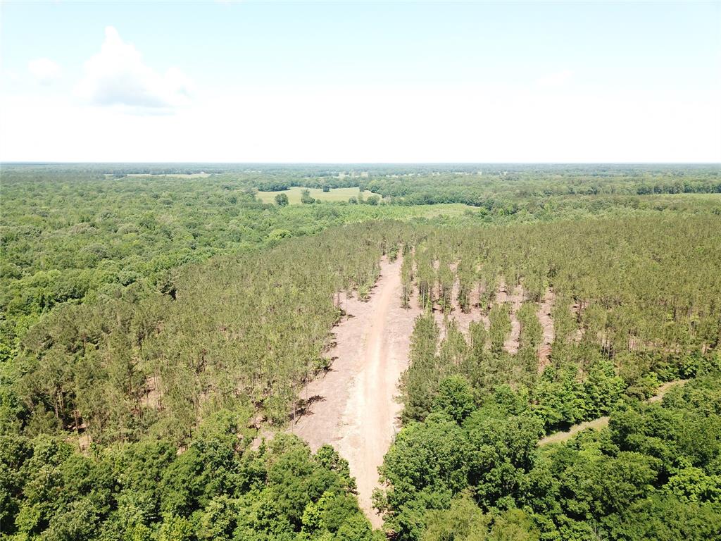 4290 Simms Tx 75574 Simms, TX 75574 - Photo 2 of 24 a view of lake with green space