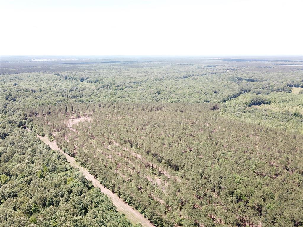 4290 Simms Tx 75574 Simms, TX 75574 - Photo 23 of 24 a view of city and mountain