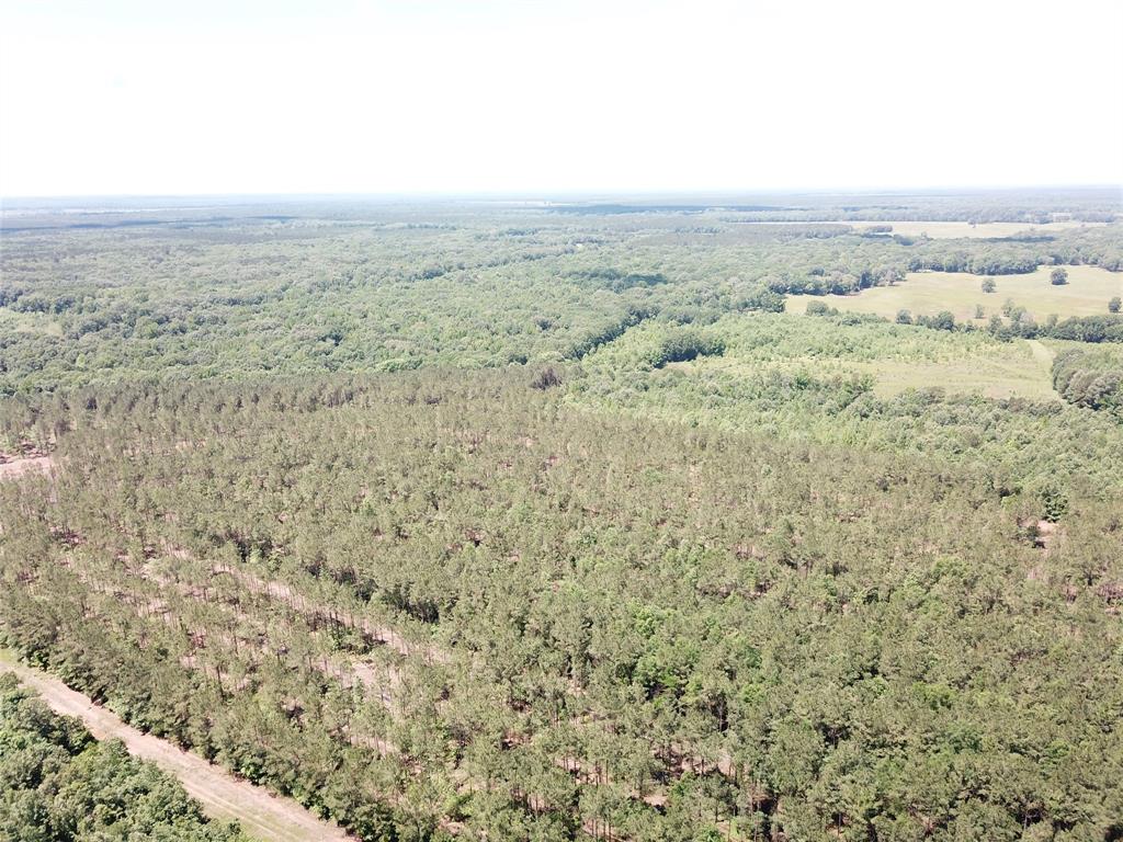 4290 Simms Tx 75574 Simms, TX 75574 - Photo 24 of 24 a view of sky view