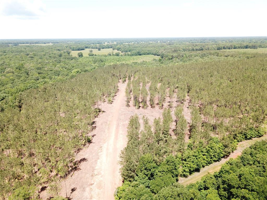 4290 Simms Tx 75574 Simms, TX 75574 - Photo 3 of 24 a view of lake and mountain