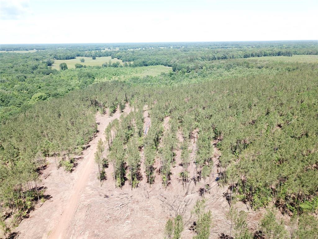 4290 Simms Tx 75574 Simms, TX 75574 - Photo 4 of 24 a view of a field with trees in the background
