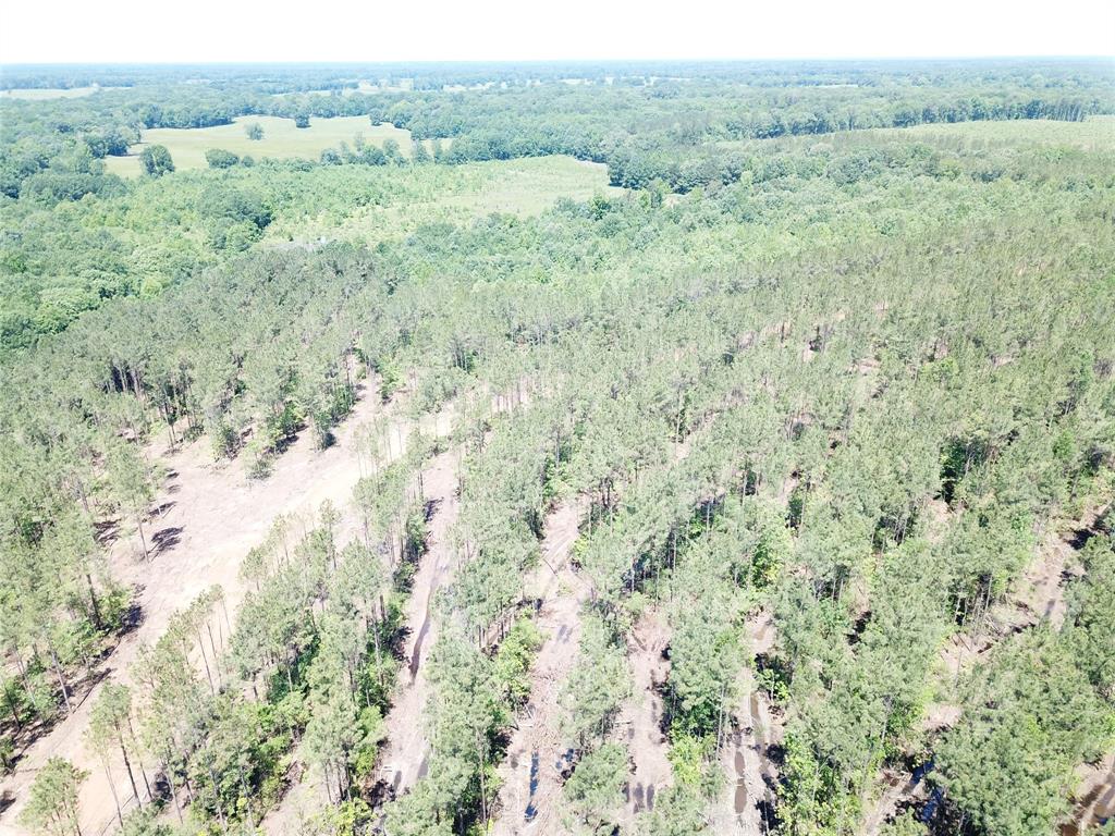 4290 Simms Tx 75574 Simms, TX 75574 - Photo 5 of 24 a view of a field of grass and trees