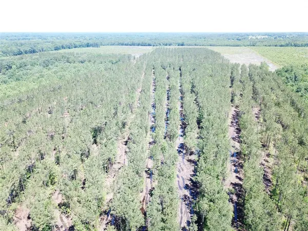 a view of a green field with an ocean view