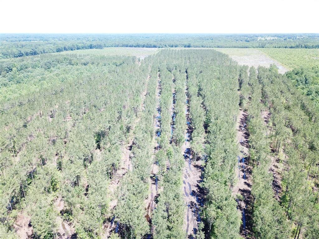 4290 Simms Tx 75574 Simms, TX 75574 - Photo 7 of 24 a view of a green field with an ocean view