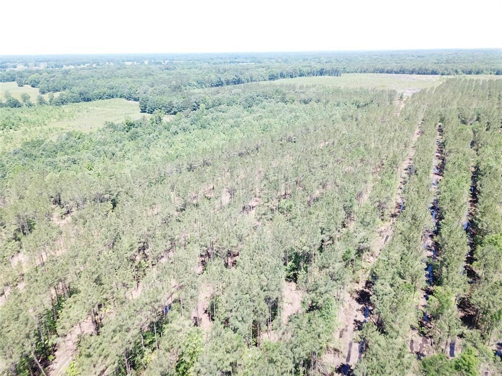 4290 Simms Tx 75574 Simms, TX 75574 - Photo 8 of 24 a view of a field with an ocean view