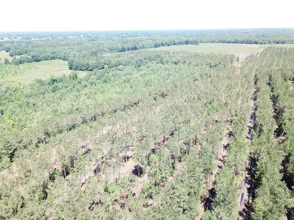 a view of an outdoor space and a yard
