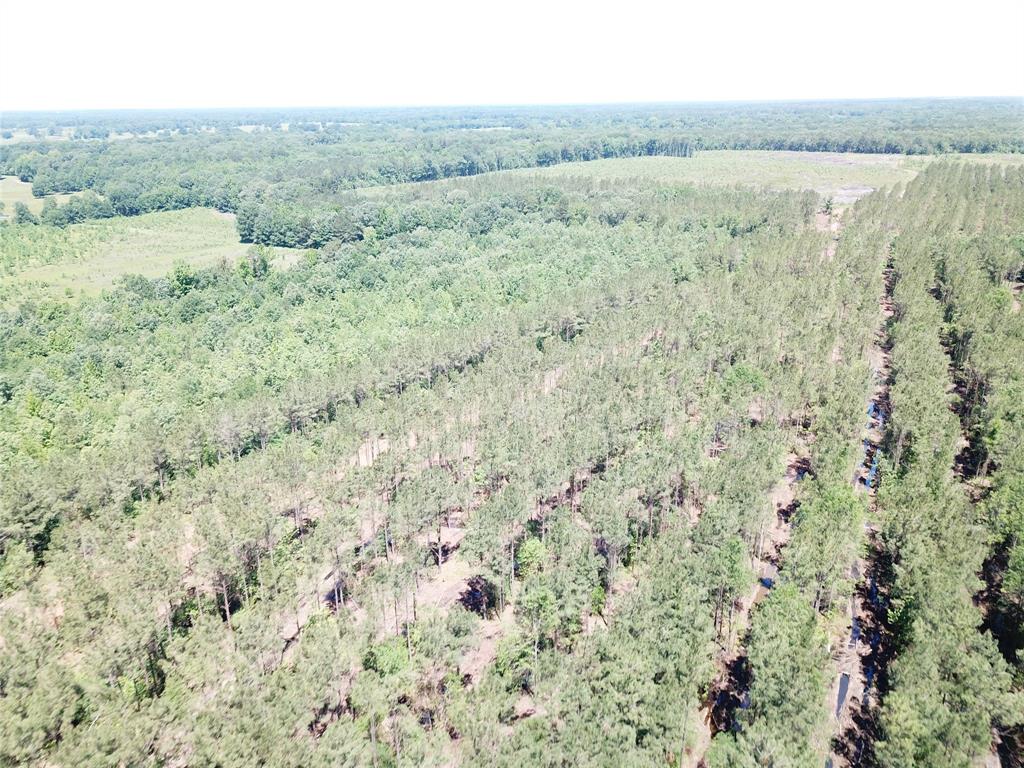 4290 Simms Tx 75574 Simms, TX 75574 - Photo 9 of 24 a view of an outdoor space and a yard